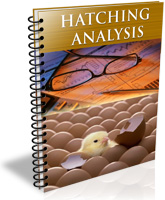 Hatching Analysis